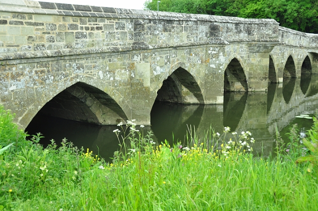 24 05 15_4283.JPG - STURMINSTER NEWTON, NORTH DORSET - 24.5.15